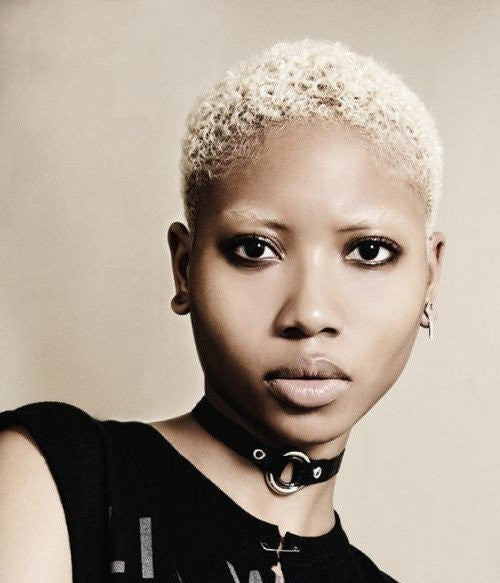 How to Be a Celestial Fox