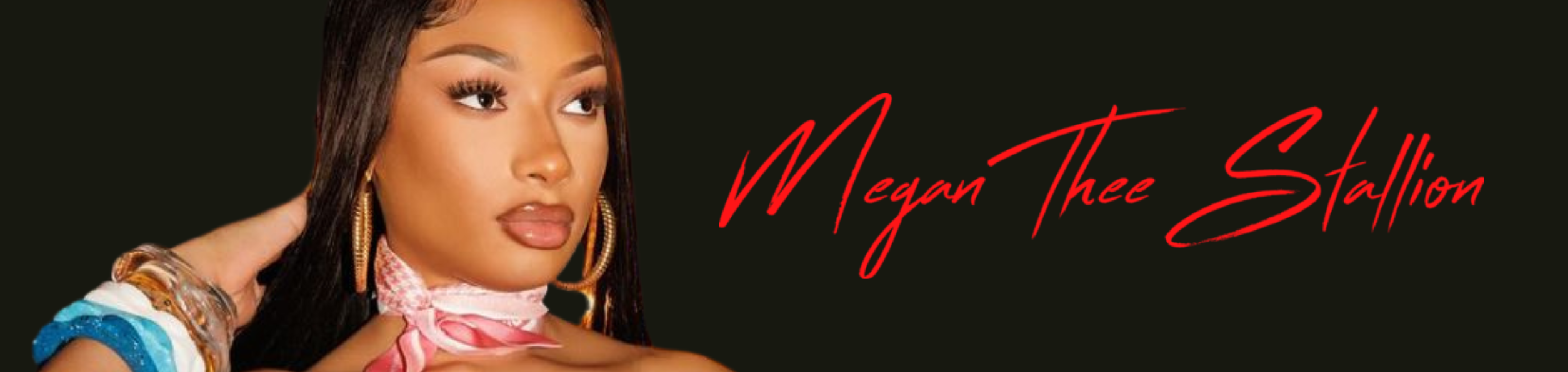 LARUICCI X MEGAN THEE STALLION