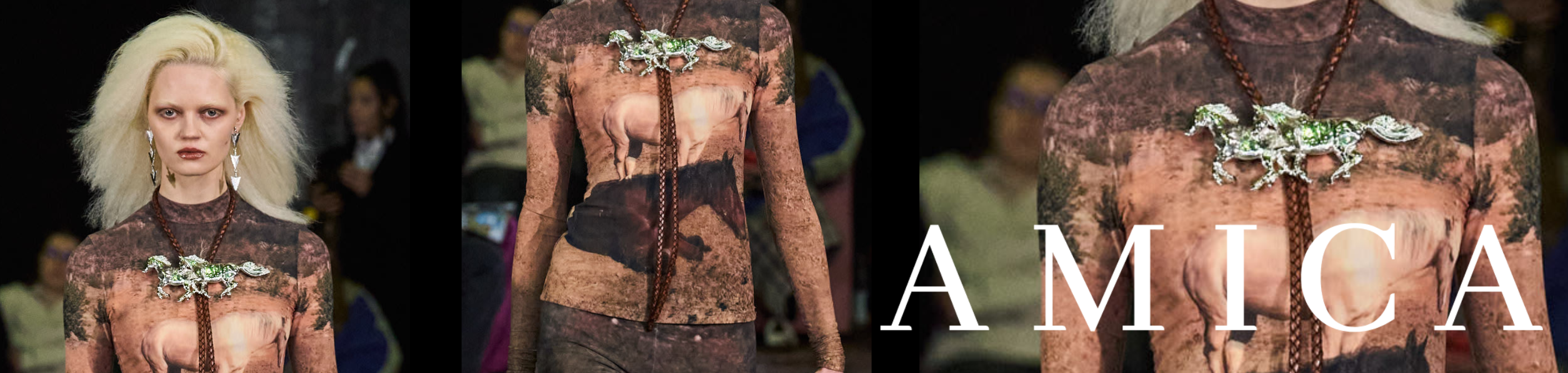 LARUICCI X AMICA