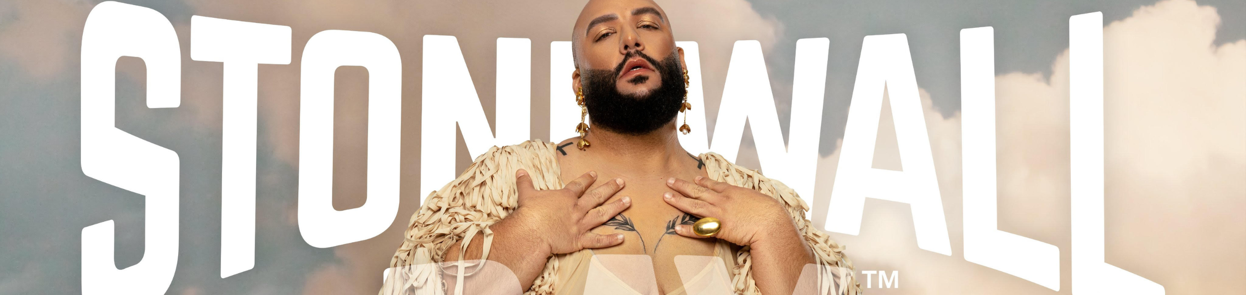 CAMPAGNE LARUICCI X STONEWALL DAY