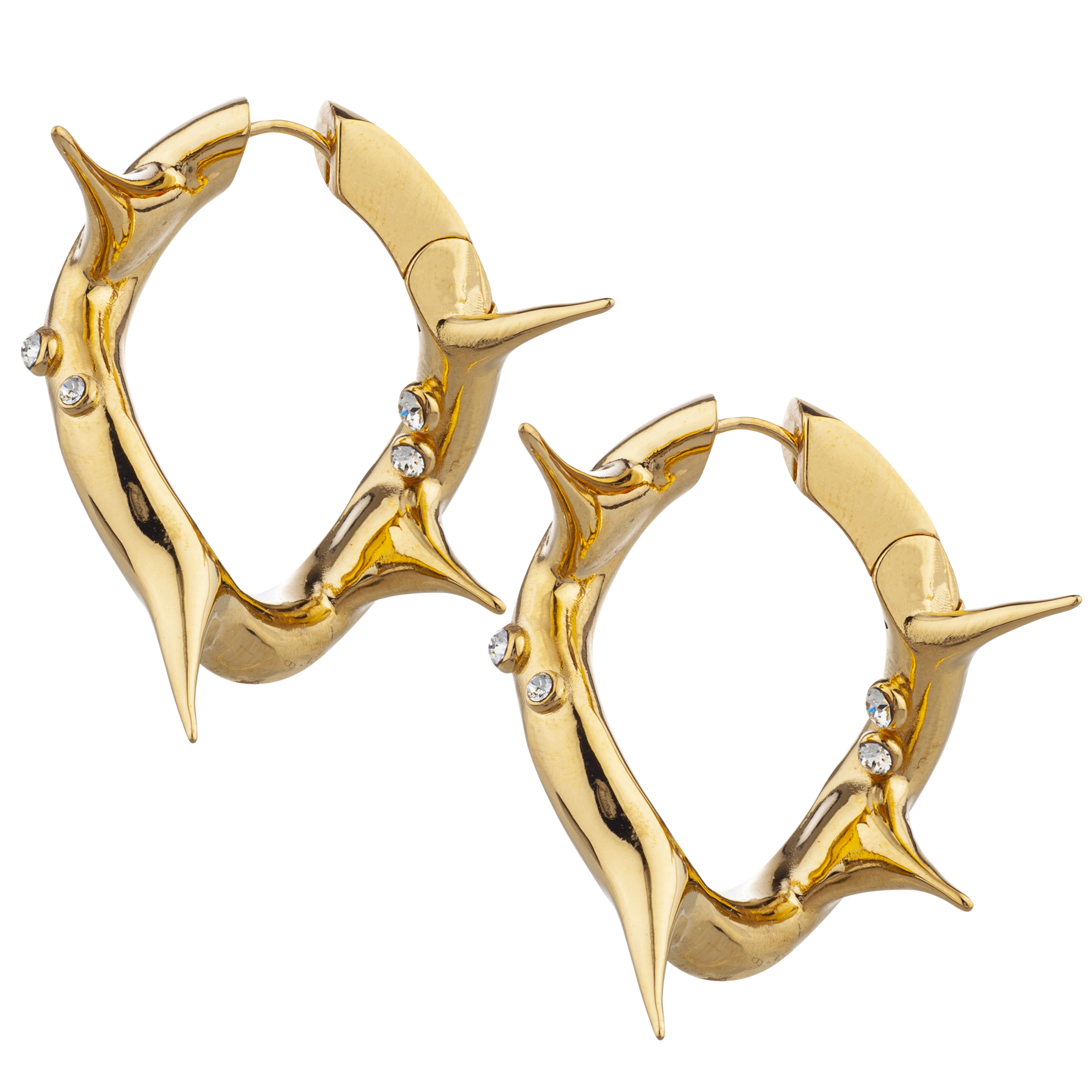 PASSIONE PROIBITA EARRINGS