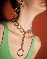 MON COLLIER ANIMAL DE COMPAGNIE