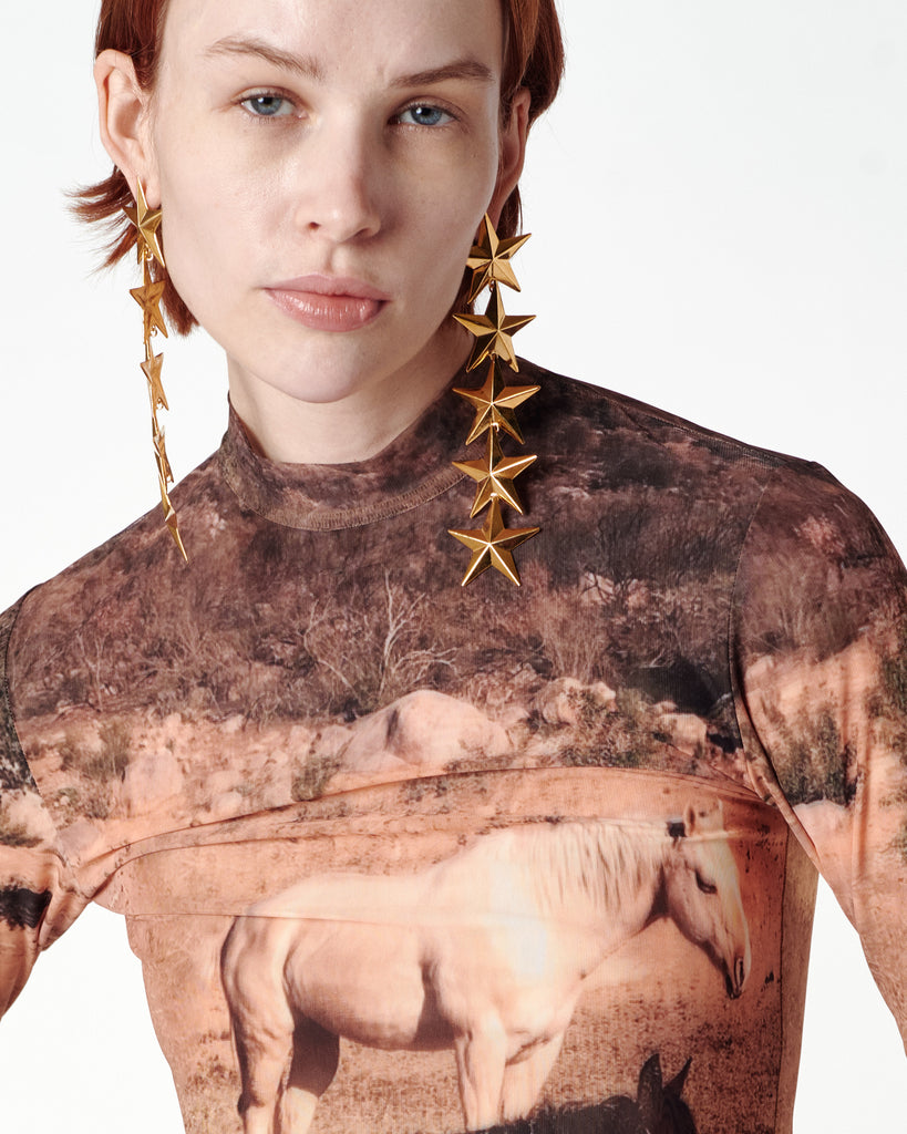 DESERT HORSE TOP