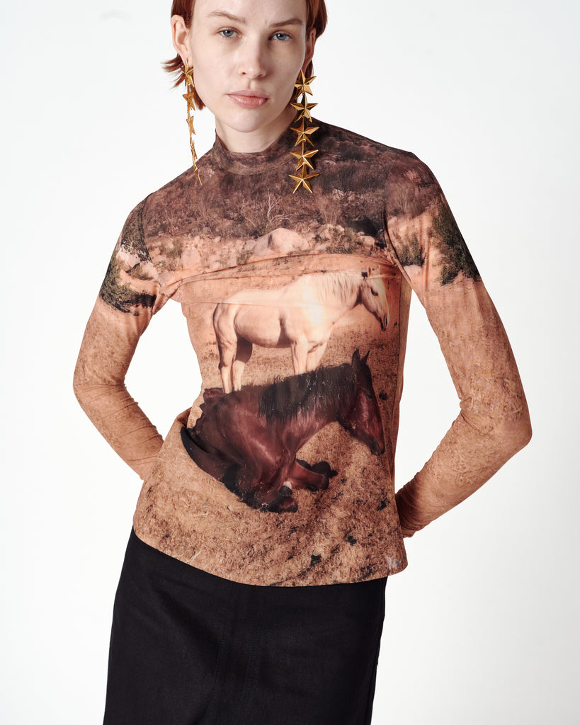 DESERT HORSE TOP